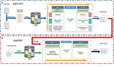 BigFiRSt: A Software Program Using Big Data Technique for Mining Simple Sequence Repeats From Large-Scale Sequencing Data